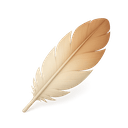 Feature accessory icon